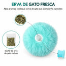 Bolinha Interativa com Catnip Para Gatos