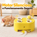 Brinquedo Interativo Caça Surpresa