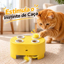 Brinquedo Interativo Caça Surpresa