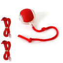 Bolinha Interativa MeowBall