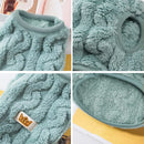 Roupinha de Inverno para Gatos