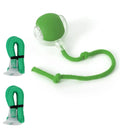 Bolinha Interativa MeowBall