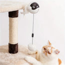 Bolinha Suspensa Automática para Gatos