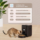 Comedouro Automático para Gatos