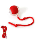 Bolinha Interativa MeowBall