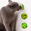 Brinquedo de Parede com Catnip para Gatos