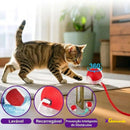 Brinquedo Bola eletrônica para Gatos
